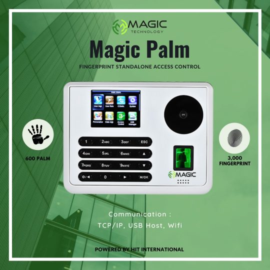 Magic Palm